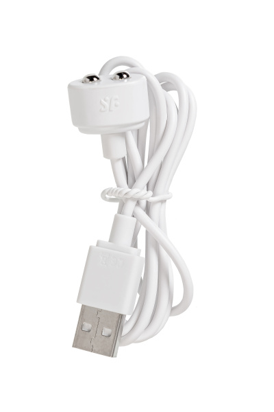 Вакуум-волновой стимулятор клитора Satisfyer Pro 2 Modern Blossom, силикон, бордовый, 6,6 см